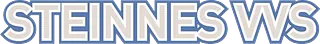 vvs fagmann - logo